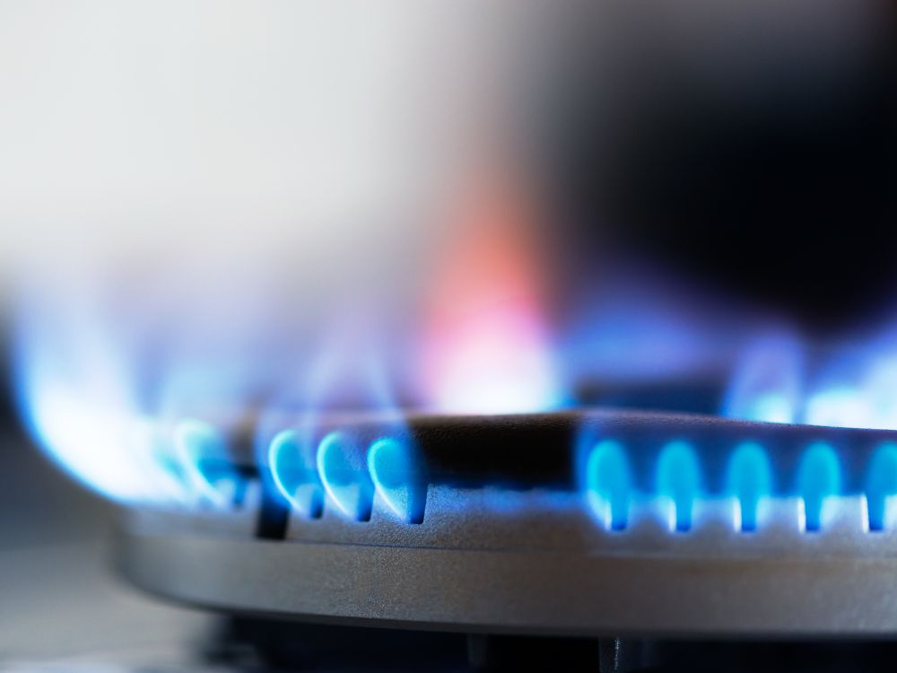 bếp gas
